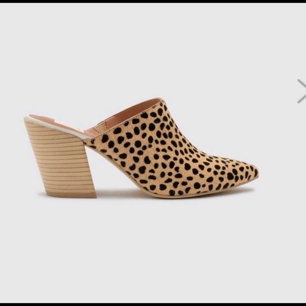 Dolce Vita Angela Mules in Leopard (9)